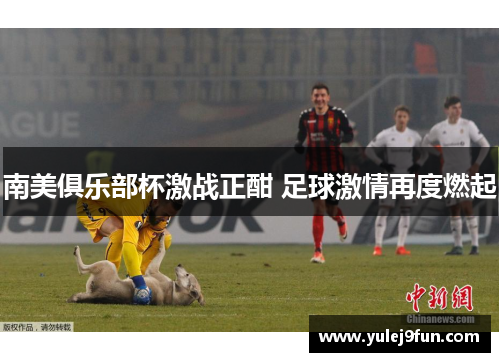南美俱乐部杯激战正酣 足球激情再度燃起